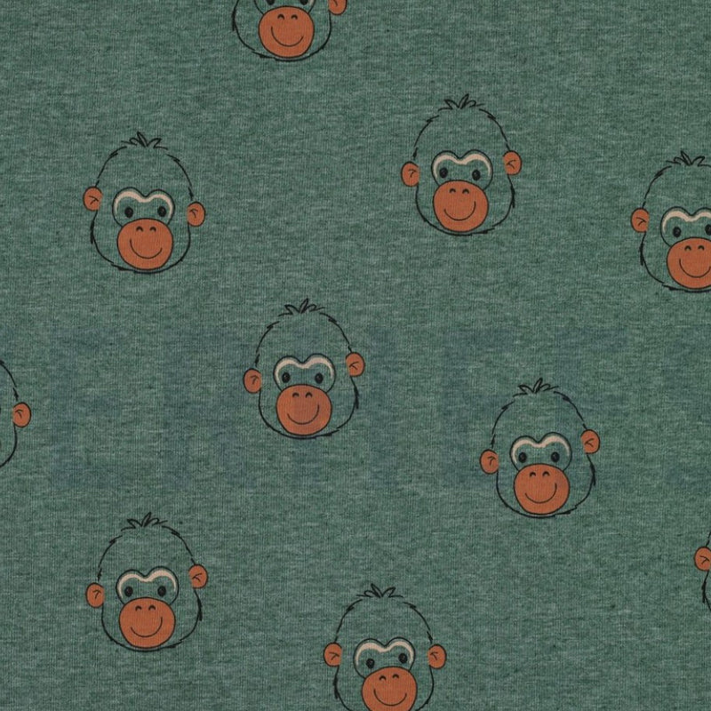 Cotton Jersey - Monkey